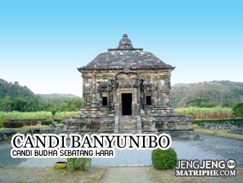 Candi Banyunibo, Candi Budha Sebatang Kara