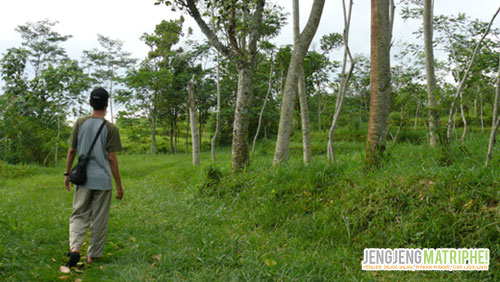 Jengjeng Alam