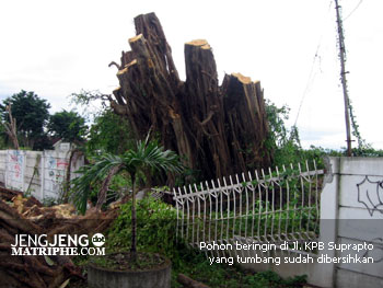 Pohon beringin di Jl. KPB Suprapto yang tumbang sudah dibersihkan