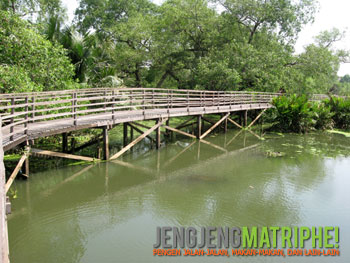 Jembatan kayu di Suaka Margasatwa Muara Angke