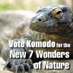Vote Komodo for the New 7 Wonders of Nature
