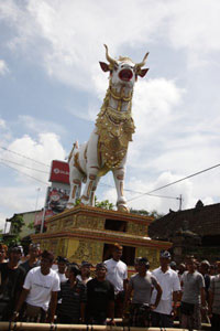 Patung Lembu megah pengiring Pelebon